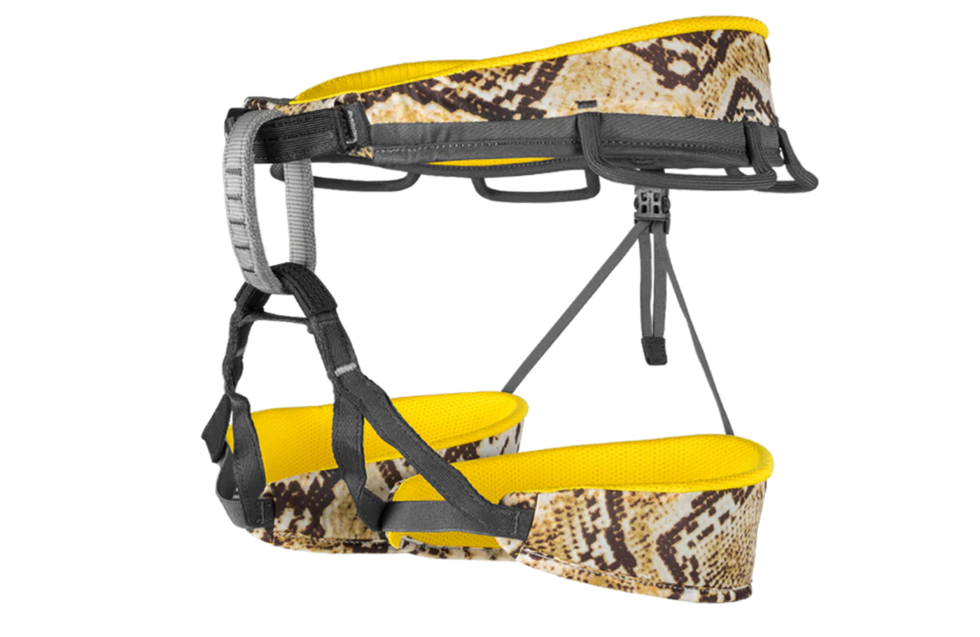 Trend Harness