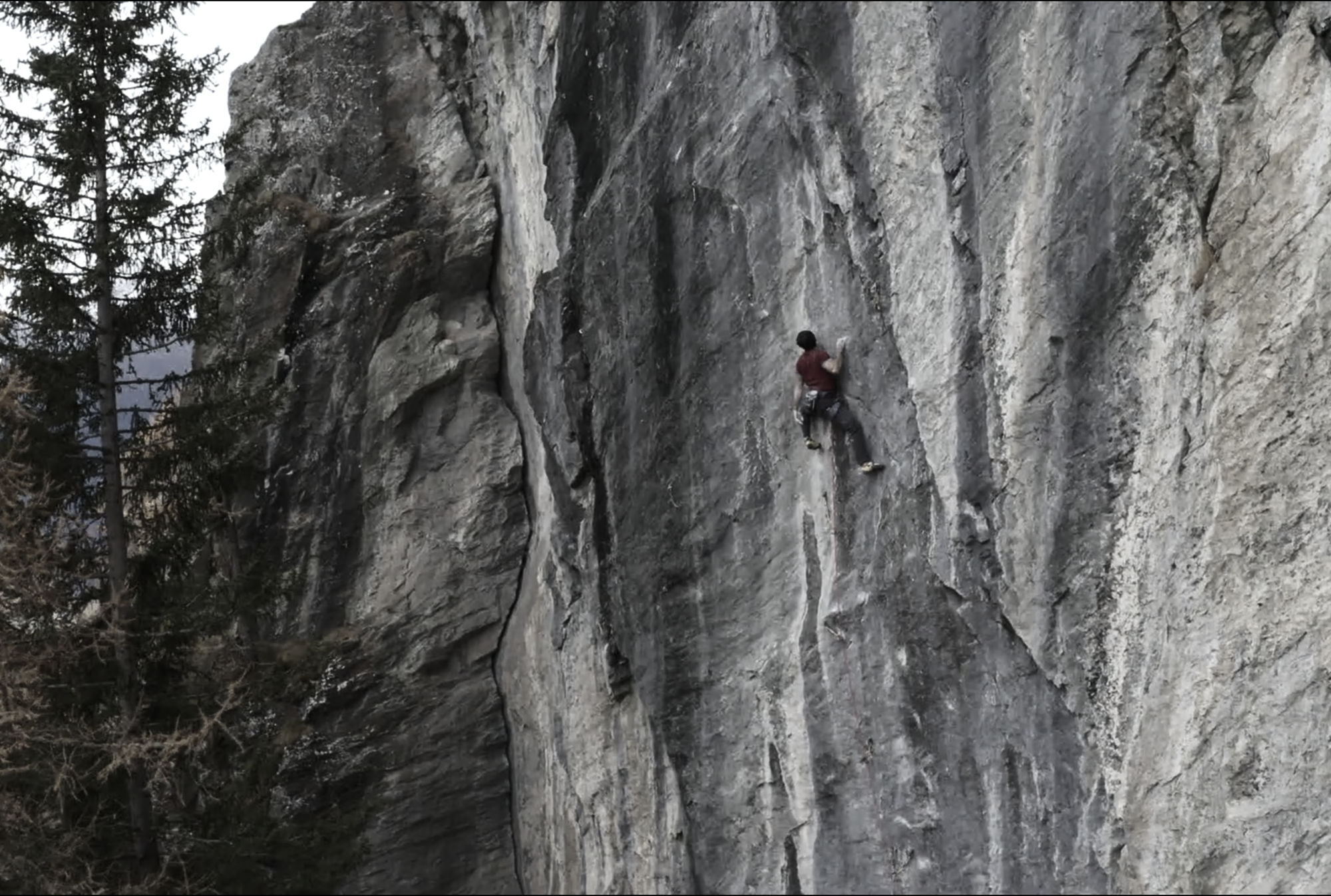 La cura 9A - Marcello Bombardi and Massimo Bal