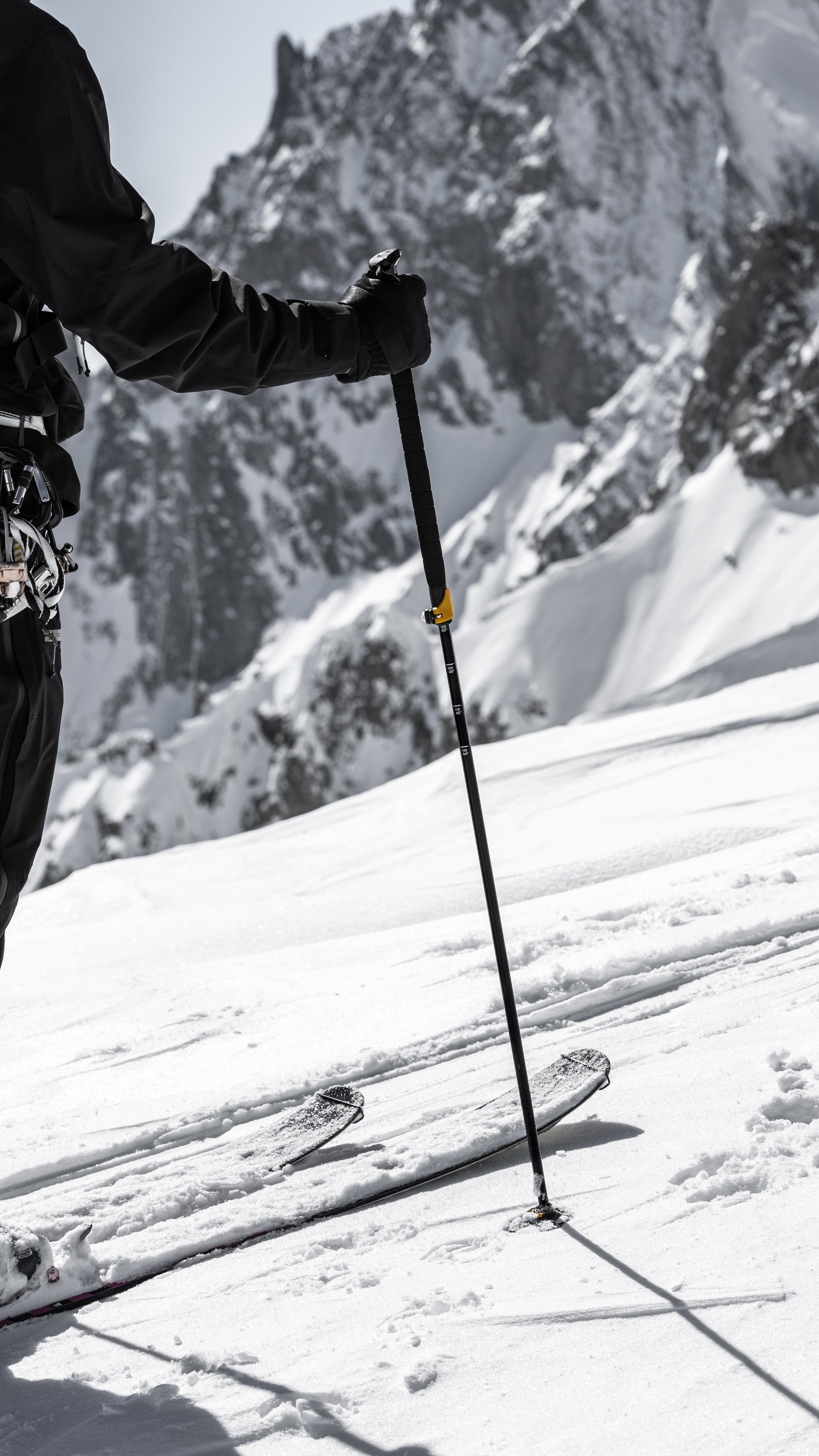 Ski Tour Vario