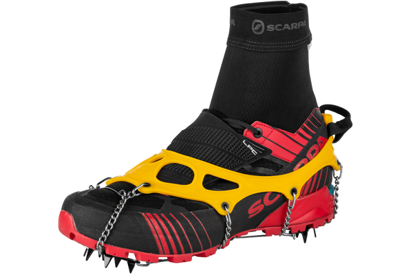 explorerlightprimary_grande.