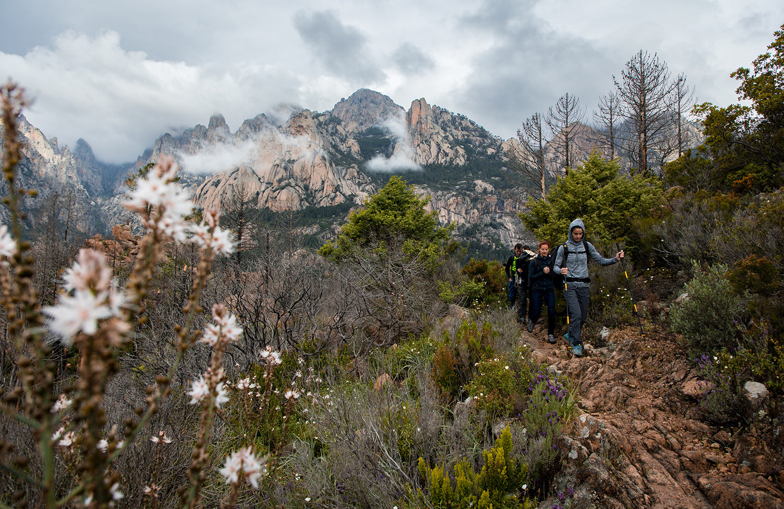 Grivel - Trail Three