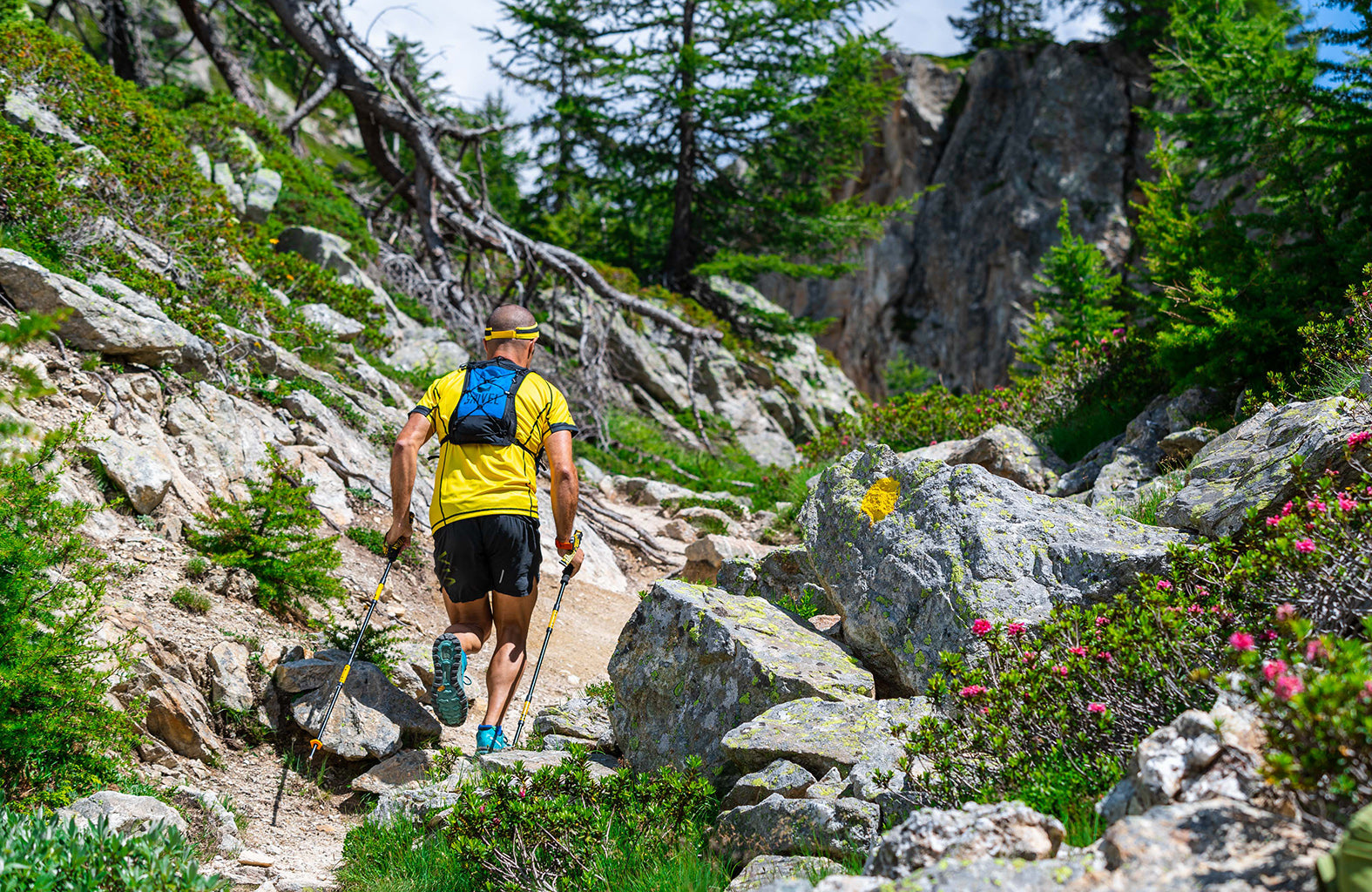 Grivel - Trail Three